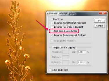 The Auto Color Correction Options dialog box in Photoshop.