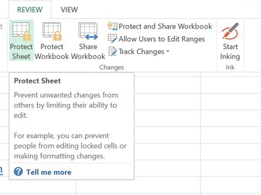 Click Protect Sheet.