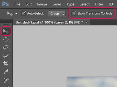 The Show Transform Controls check box appears when the Move Tools is selected.