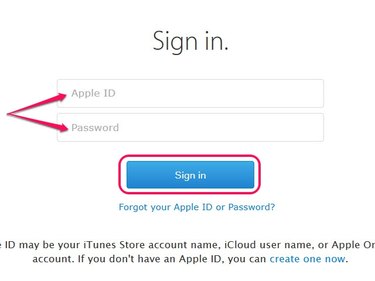 Click Forgot Your Apple ID or Password to recover your Apple ID credentials.