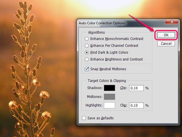 The Auto Color Correction Options dialog box in Photoshop.