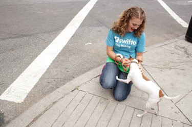 Woman kneeling down to pet dog