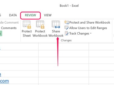 Click the Share Workbook icon.