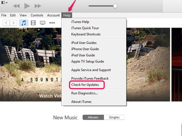 Select Check for Updates in the iTunes Help menu.