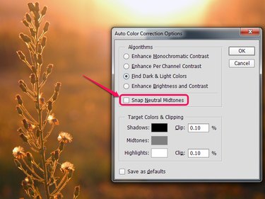 The Auto Color Correction Options dialog box in Photoshop.