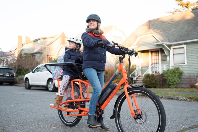 Radwagon Electric Cargo Bike