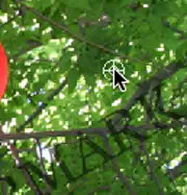how to remove watermarks from photos photoshop how to remove watermarks from photos photoshop