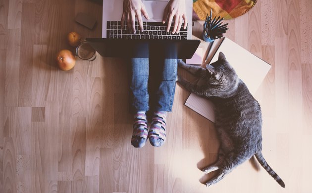 Creative workspace