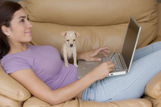 Side profile of a young woman lying on a couch and working on a laptop with a puppy sitting on her
