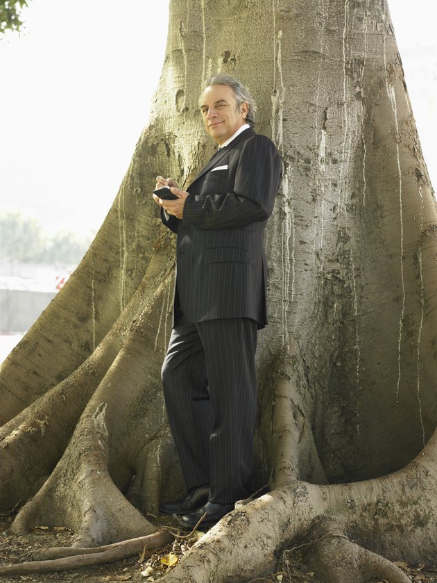 Businessman standing underneath tree using PDA