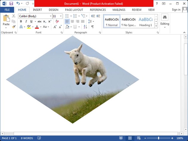 How to Crop a Photo in Microsoft Word | Techwalla