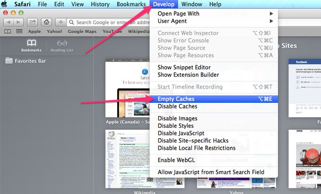 safari browser clear cache and cookies