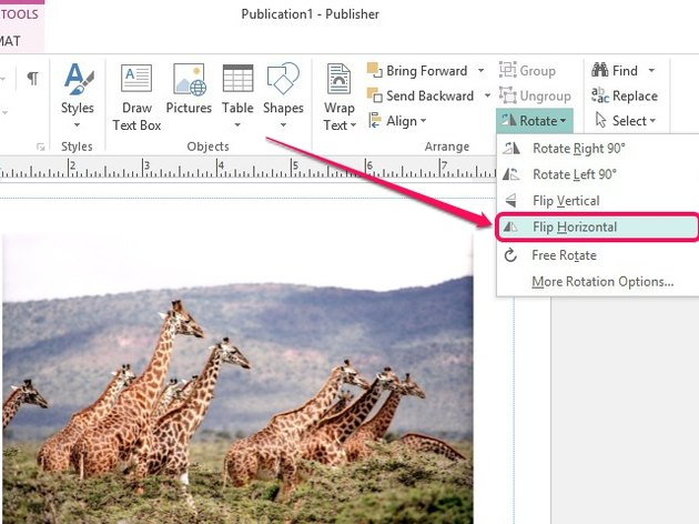 How Do I Flip Text In Publisher