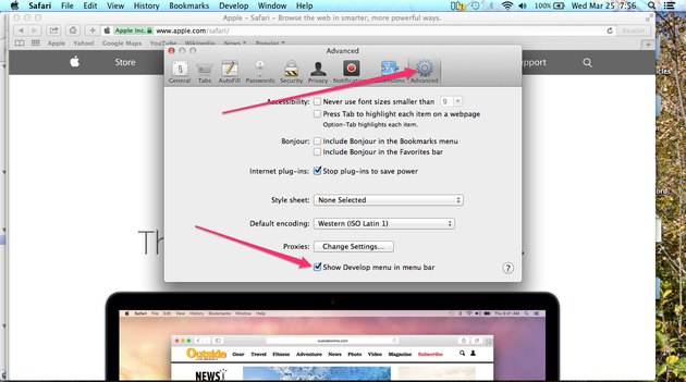 how to open cached pages in safari