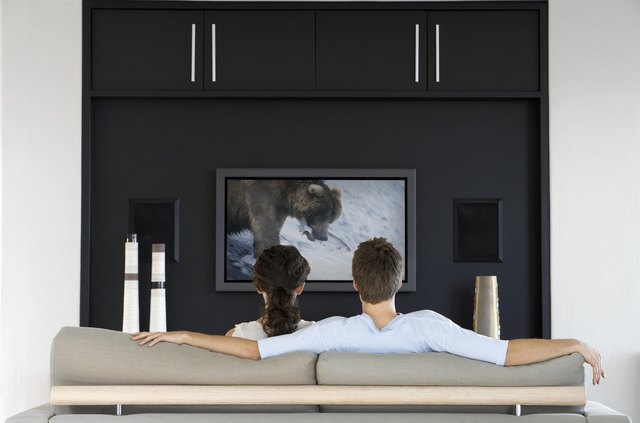 Couple Watching Nature Documentary on Television