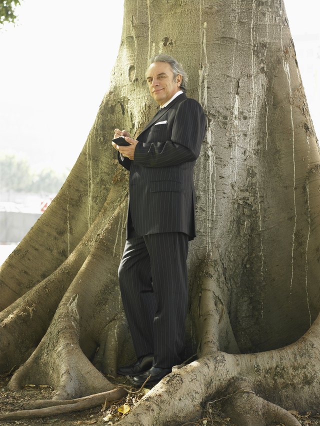 Businessman standing underneath tree using PDA