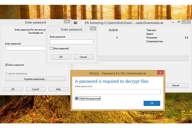password protect zip file winzip