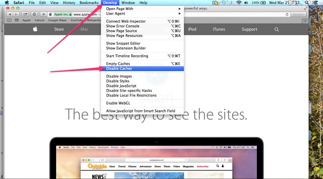 how to view cache in safari